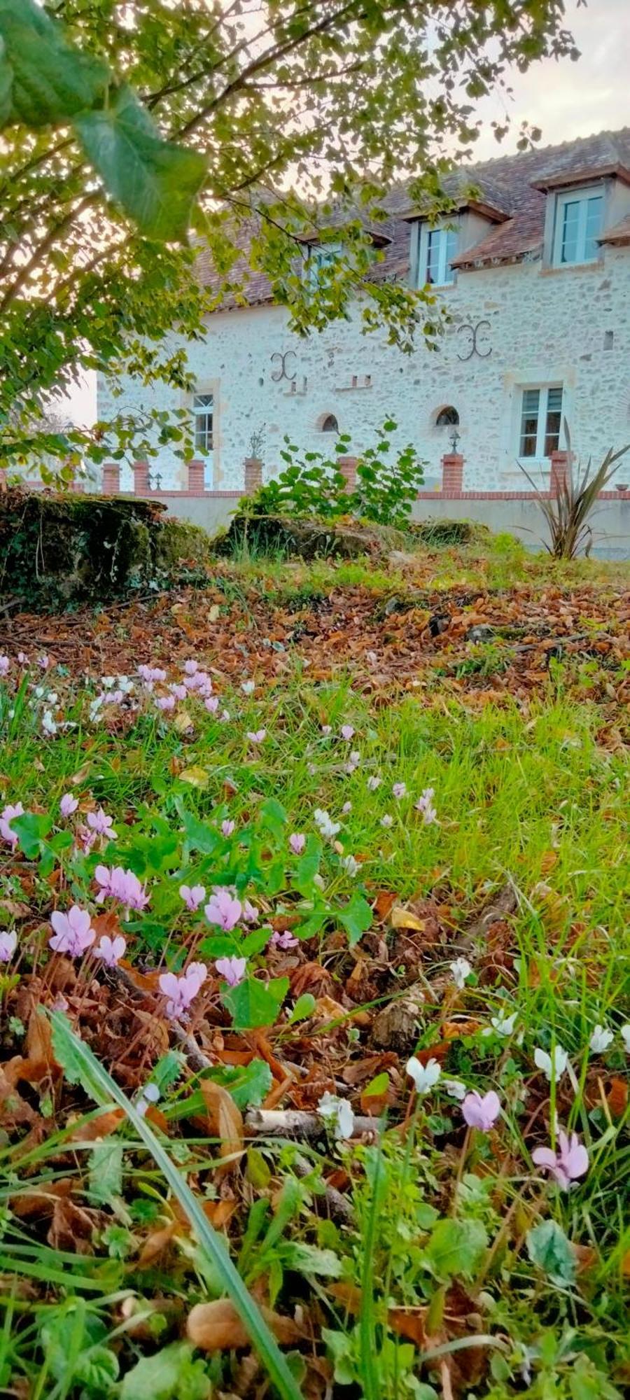 הוילה Brûlon Gite & Chambre D'Hotes Du Moulin מראה חיצוני תמונה