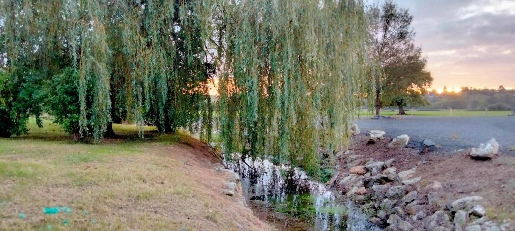 הוילה Brûlon Gite & Chambre D'Hotes Du Moulin מראה חיצוני תמונה